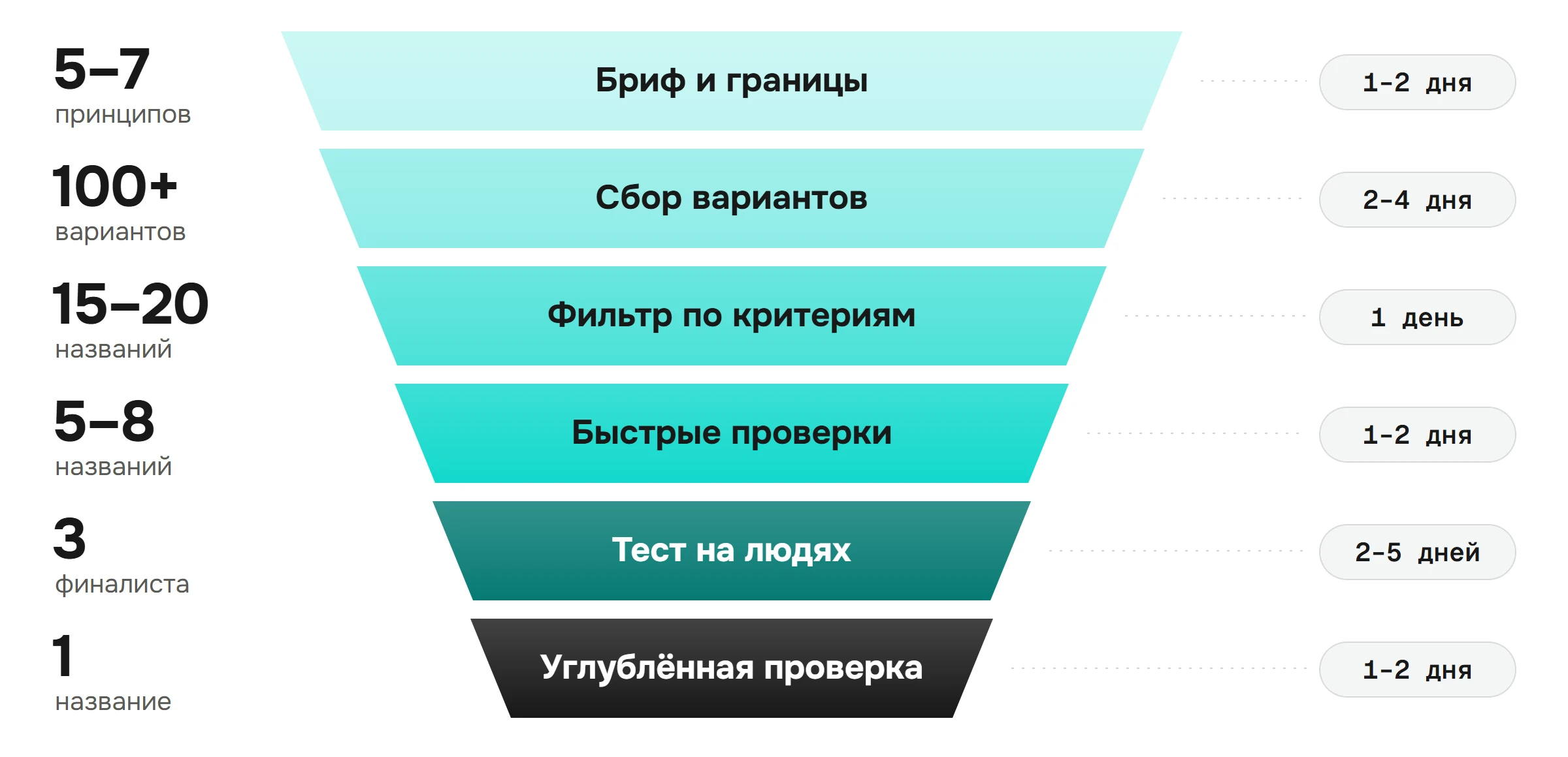 Воронка нейминга: от сотни вариантов через фильтр и проверки к трём финалистам и одному названию, со сроками этапов